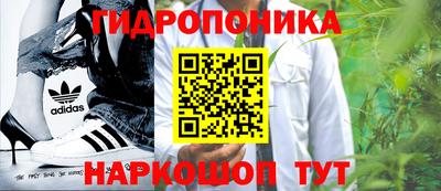 сатива Абакан